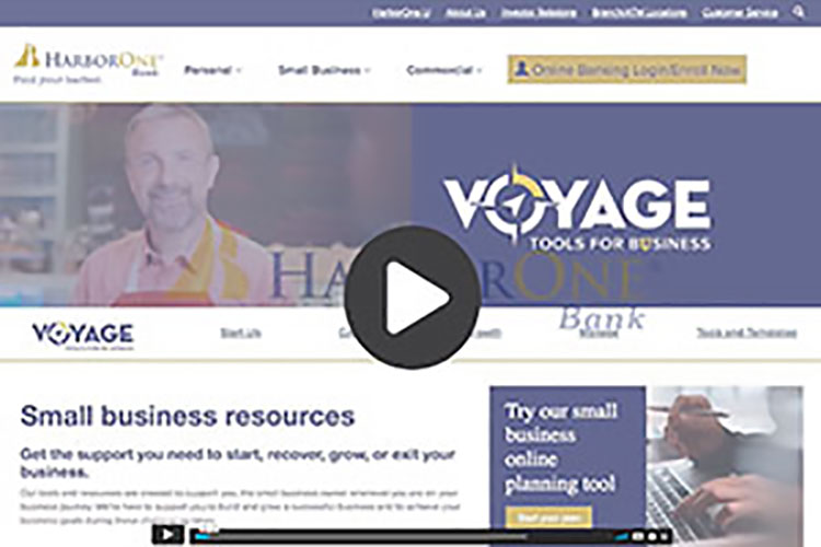 Introducing Voyage for Business