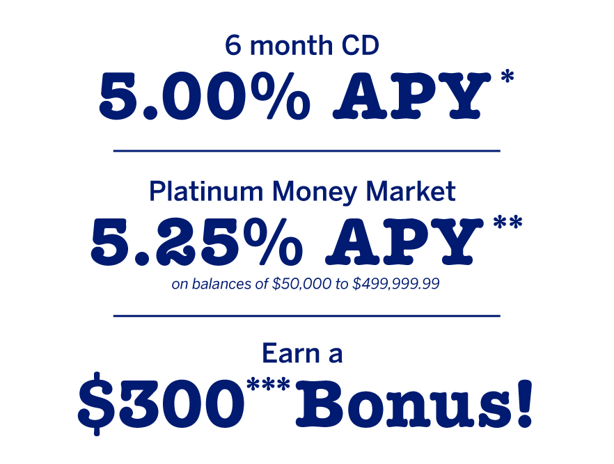 Personal Banking Solutions HarborOne Bank